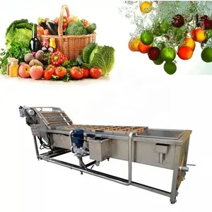 Stainless Steel SUS304 Leek Lettuce Cleaning Machine Automatic Air Bubble Washer for Sale