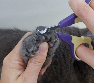 Thép không gỉ Pet Nail Clipper mèo và chó Nail cắt tỉa công cụ thiết kế lỗ tròn không sợ chấn thương do tai nạn - Product Image 3