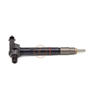 หัวฉีดคอมมอนเรลคุณภาพสูง S55013H50 12698552 295700-0176 - Product Image 2