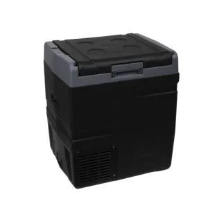 Dc compressore Cooler Box Mini congelatore portatile 12v frigorifero auto frigo congelatori cucina di casa