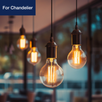 Ampoule LED décorative Edison à filament dimmable à économie d'énergie, blanc chaud 2700K, 5,5W, G95 E27 E26, verre transparent, pour café, hôtel