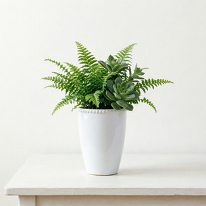 Pot à succulentes en céramique moderne avec bordure perlée pour la décoration intérieure et de bureau - Product Image 4