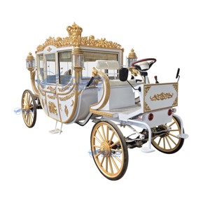 Calèche royale électrique de luxe pour visites touristiques, mariages et transport spécial avec pneus en caoutchouc massif et garantie d'un an - Product Image 1