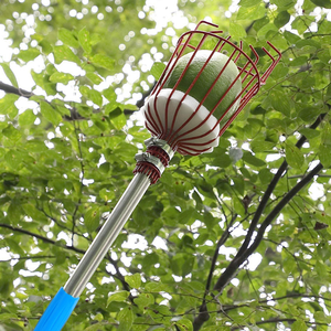 Ensemble de cueillette de fruits avec tige télescopique détachable, dispositif de cueillette de pommes, cueilleur de fruits portable, collecteur de fruits - Product Image 5