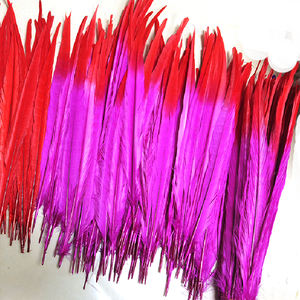 Plumes <span class=keywords><strong>de</strong></span> Faisan à Col Anneau Bicolores <span class=keywords><strong>de</strong></span> 16-18 Pouces pour Costumes <span class=keywords><strong>de</strong></span> <span class=keywords><strong>Carnaval</strong></span> <span class=keywords><strong>de</strong></span> Trinité 2025 – Fournitures <span class=keywords><strong>de</strong></span> Plumes Décoratives - Product Image 4