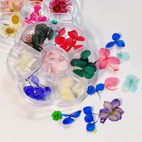 Fleurs séchées naturelles pressées pour les ongles, pièces, divers paquets, vente directe d'usine, matériel de bricolage