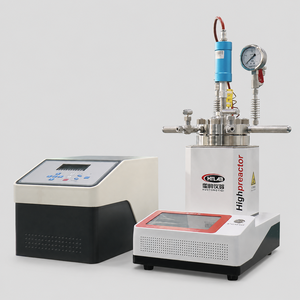 Réacteur de laboratoire de type spécial 316L HT-CSB 12,5 MPa avec disque de <span class=keywords><strong>rupture</strong></span> et manomètre - Product Image 3