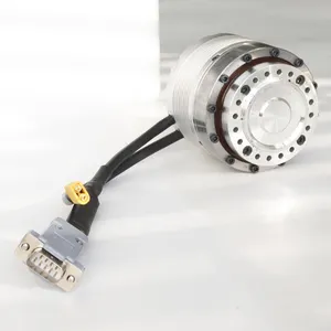 100W Direct Drive Servo Motor For Humanoid Joint Low Rpm DC Gear Motor With RS485
