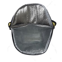 Sac à dos de camping en plein air promotionnel, élégant et portable, glacière isotherme pour 30 canettes, pour un usage quotidien