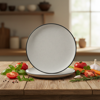 Service de table contemporain en grès |   Assiettes et tasses en céramique blanche émaillée |   Compatible four et lave-vaisselle, résistant à la chaleur