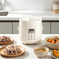 Mini-cuiseur à pression électrique 1,6 L compact multifonction pour la maison