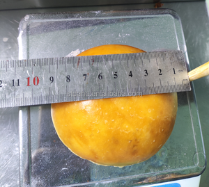 Máquina Automática Comercial para Hacer Donas de Levadura para Negocios de Donas - Product Image 3