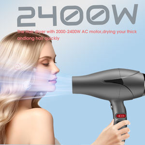 Professional 2400w Powerful Negative Ion <strong>Hair</strong> <strong>Dryer</strong> Powerful <strong>Hair</strong> Salon <strong>Dryer</strong> One Step Blow <strong>Dryer</strong> - Product Image 2