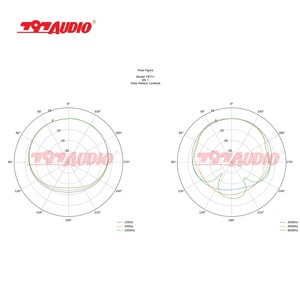 Microfono a Condensatore Professionale ATCR01 797 Audio, Microfono a Diaframma Grande con Valvole, XLR OEM/ODM, Microfono Cablato per Canto e Altoparlanti - Product Image 6