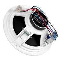 Système de sonorisation PA intérieur haut de gamme 6 pouces 10W, amplificateur durable à alimentation CA unique pour systèmes de sonorisation publique avec subwoofers