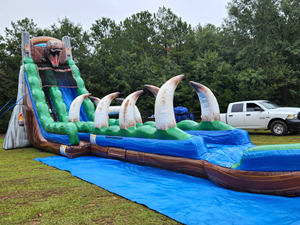 Ngoài Trời 22 'Jurassic Rush khủng long trượt nước <span class=keywords><strong>Inflatable</strong></span> thương mại <span class=keywords><strong>Inflatable</strong></span> <span class=keywords><strong>SLIDES</strong></span> lớn trượt nước với hồ bơi cho trẻ em - Product Image 2
