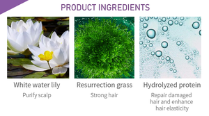 Fabbrica di Guangzhou Private label Personalizzato Shampoing Tutto Naturale Organico Capelli Perso Shampoo Levigante E Idratante - Product Image 3