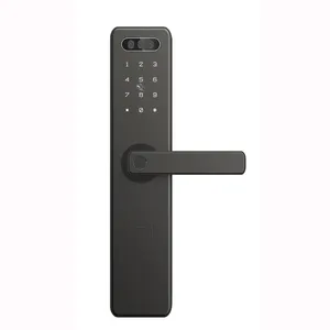 Smart Look Door E Locks For Public Rental Housing/Collective Dormitory/Apartment Management Mobile Or Computer Wifi Gateway