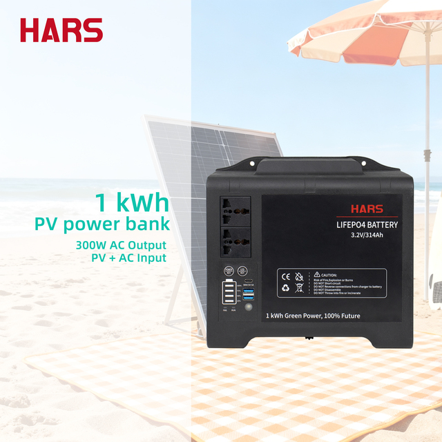 Portable 1KWh AC DC Solar Power System with Pure Sine Wave Inverter LiFePO4 Battery MPPT Controller for Home Appliances