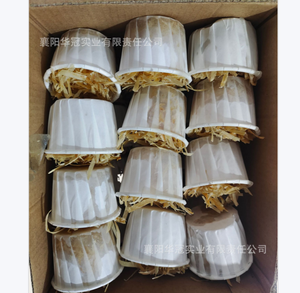 Allume-feu en charbon de bois pour feu de camp, granulés de bois, allume-feu en cire, paquet d'allume-feu - Product Image 4