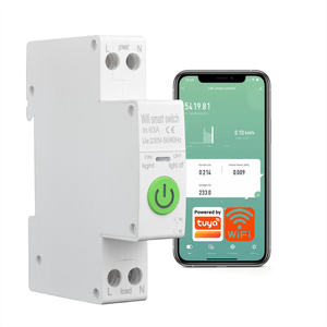 SW-ACW Tuya WiFi Smart Circuit Breaker <b>Switch</b> 63A 1P+N MCB <b>Timer</b> Power Energy kWh Voltage Current Meter Smart Home Device - Product Image 1