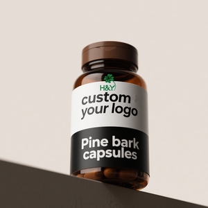 Healthway Hot Bán Chất lượng cao vỏ cây thông chiết xuất vỏ cây thông chiết xuất procyanidins vỏ cây thông chiết xuất bột số lượng lớn - Product Image 1