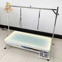 EUR Offre Spéciale pour animaux de compagnie équipement vétérinaire Table de toilettage électrique réglable en hauteur pour chiens éclairage LED Salon pour chiens