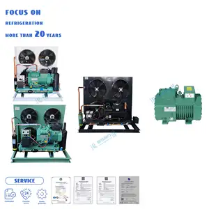 Hot Selling Customized Oem Refrigerataion Compressor Condensing Unit