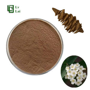 高品質のスパイレア・サリシフォリア抽出物粉末10:1 スパイレア・サリシフォリア水溶性粉末 漢方抽出物 中国産 - Product Image 1