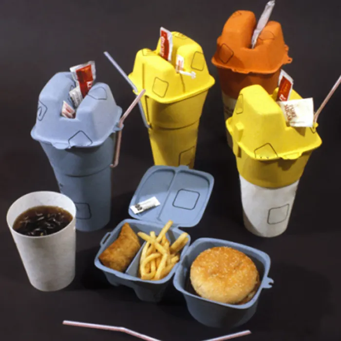 Fettbeständige Hühnerbox für Bratkuchen Burger Pommes halter mit Strohlöchern Ketchup-Hühnchen-Popcorn-Flügel-Verpackungsbox Korb