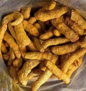 Dried <b>Turmeric</b> Vibrant Yellow Premium Block Spice Bulk Supplier Farm Fresh Cleaned Graded High Quality Baked AD Process <b>Root</b> - Product Image 5
