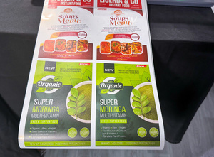 焦点Vesa 830A紫外墨水塑料工业标签打印机自动吊舱高速12-17/h 300毫米媒体以太网显示屏全新 - Product Image 2