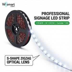 Tira de Luz LED con Lente Óptica de 160 Grados, CC 12V 24V 110lm/W, Cinta Flexible de Alta Eficiencia para Letras de Canal - Product Image 1