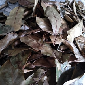 Soursop Serenity : Offrez-vous les bienfaits apaisants et revitalisants du thé de corossol, Mary - Product Image 1