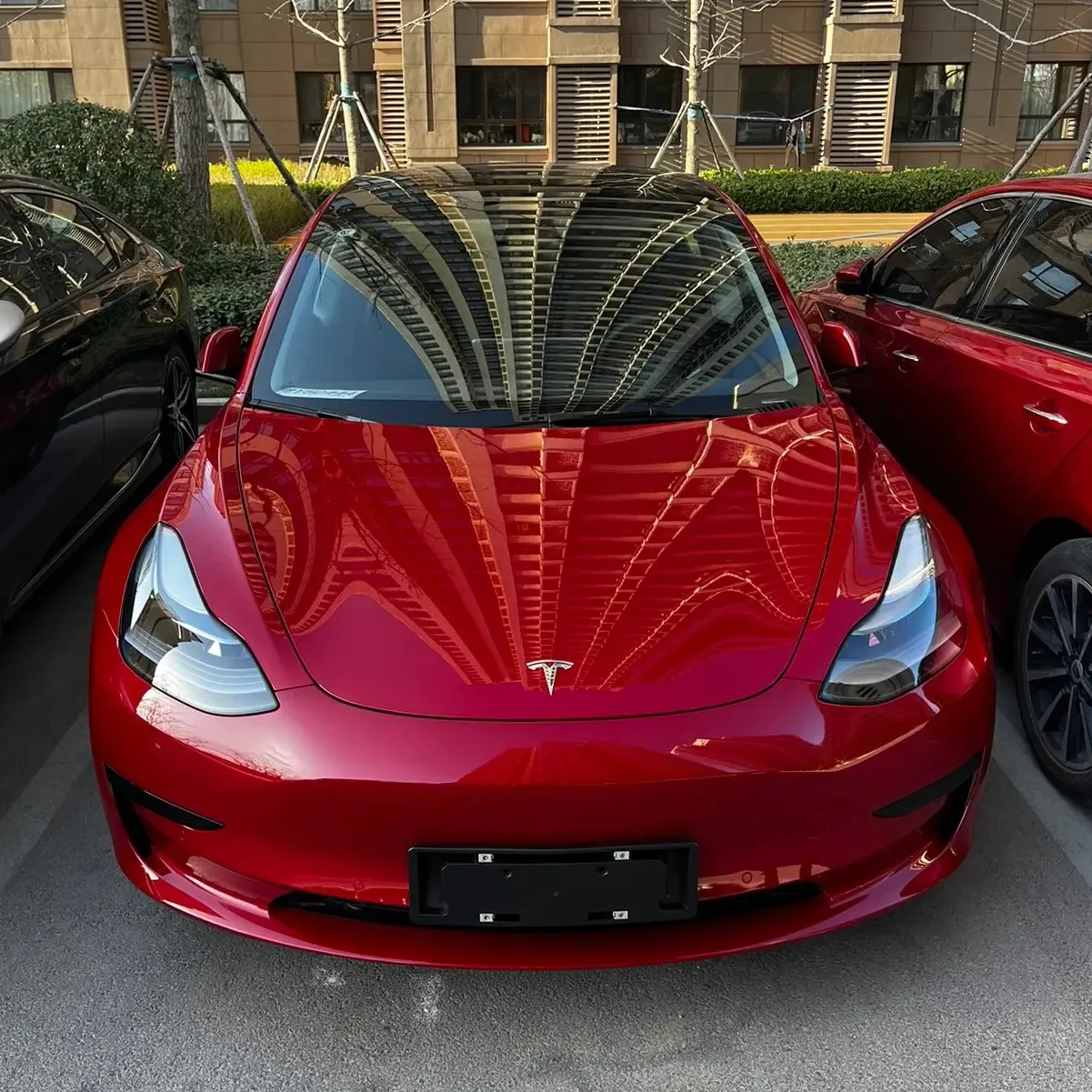 Toptan Ev araba 5-seater sedan yeni enerji araçlar Tesla modeli 3 elektrikli araba 2024 Tesla modeli 3 Model Y ucuz elektrikli araba