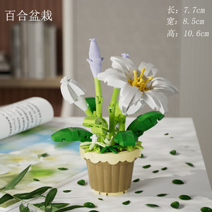 Jouets éducatifs pour enfants, ensembles <span class=keywords><strong>de</strong></span> mini-briques <span class=keywords><strong>en</strong></span> plastique pour la construction, décoration <span class=keywords><strong>de</strong></span> fleurs artificielles, pots <span class=keywords><strong>de</strong></span> plantes, modèle <span class=keywords><strong>de</strong></span> jouet - Product Image 4