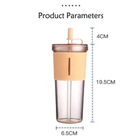 Bouteille à paille réutilisable et écologique pour adultes, en plastique, avec couvercle antidérapant en silicone et bouchon de paille