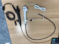 Gastroscope et coloscope USB portables vétérinaires pour petits animaux