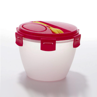 Ensemble de récipients alimentaires pour le rangement de la cuisine boîte à lunch bento récipient de stockage des aliments saladier avec coussin de refroidissement