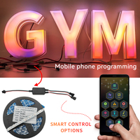Pacchetto Campione Striscia LED WS2815 ad Alta Luminosità con App di Controllo Gratuita per Insegne 3D