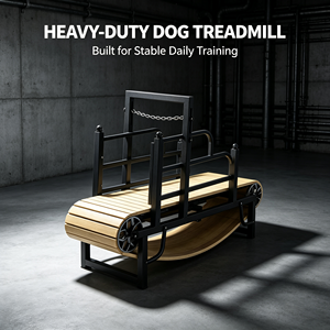 Quiet Adjustable Speed <b>Dog</b> Treadmill Aluminum Alloy Pet Exercise <b>Running</b> Machine Indoor Pet Fitness Equipment for Pet <b>Dogs</b> - Product Image 2