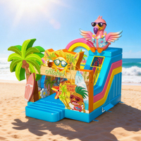 WINSUN Toboggan Gonflable Aloha d'Été en PVC Étanche Certifié CE de Qualité Commerciale pour Fêtes d'Enfants et Parcs d'Attractions