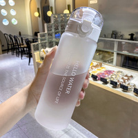Bouteille d'Eau en Plastique Givré de 780 ml en Gros pour Sports, Extérieur, École, Enfants, Étudiants – Bouteille Portable à Boire Directement
