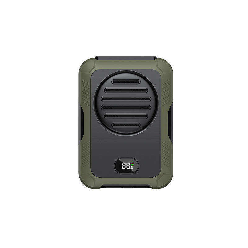 สีเขียว