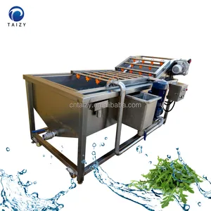 fruit & vegetable processing machines ozone washer onion wash machine