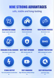 Paket Baterai Lithium Ion Deep Cycle Lifepo4 Custom 36v 48v 100ah 200ah 300ah untuk E-Trike Skuter Listrik Roda 3 - Product Image 5