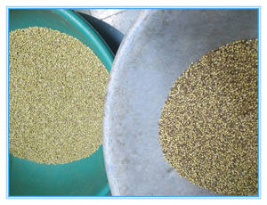 آلة فرز البذور البصرية من WENYAO، فارزة ألوان لبذور الفجل والبذور الأخرى للبيع - Product Image 5