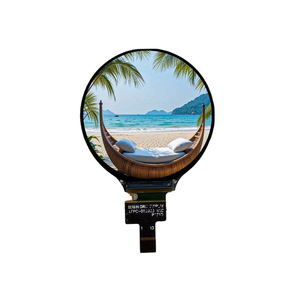 شاشة عرض عالية الجودة IPS TFT تعمل باللمس ، دقة x x جهاز يمكن ارتداؤه ومشاريع تصنعها بنفسك - Product Image 1