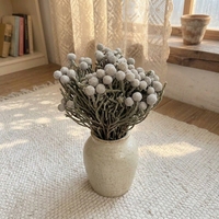 Fleurs séchées en gros tout-en-un : fruits de corail naturels pour arrangements de bouquets DIY, fleurs éternelles pour la décoration de la maison et de mariages