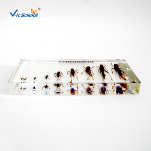43101 - Product Image 4